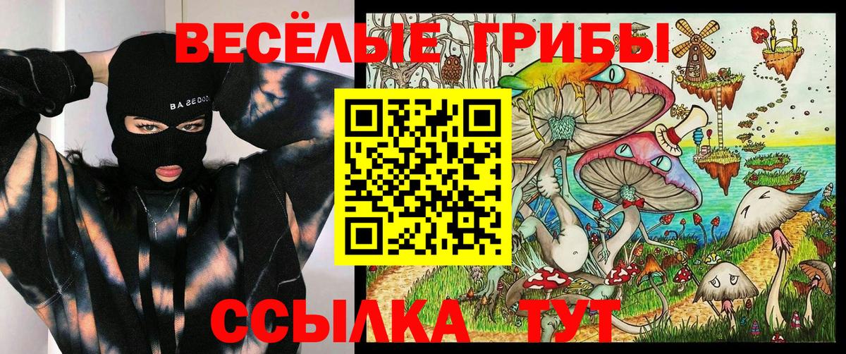 Галлюциногенные грибы Psilocybe Бийск
