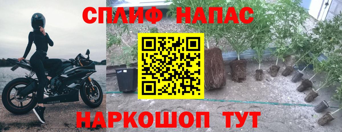 Конопля LSD WEED  Вход с VPN  Шишки марихуана White Widow  Шишки марихуана SATIVA & INDICA  Бийск  Каннабис Bruce Banner 